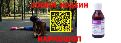 МДПВ Камышлов