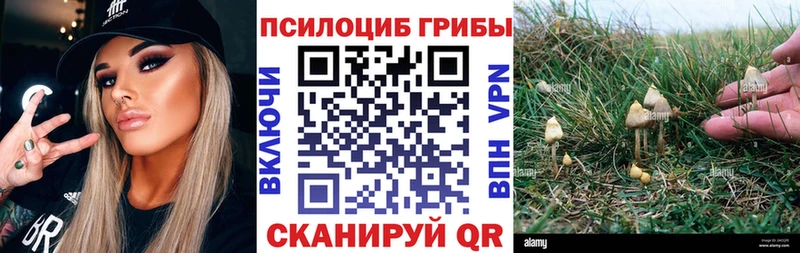 Псилоцибиновые грибы мицелий Кузнецк