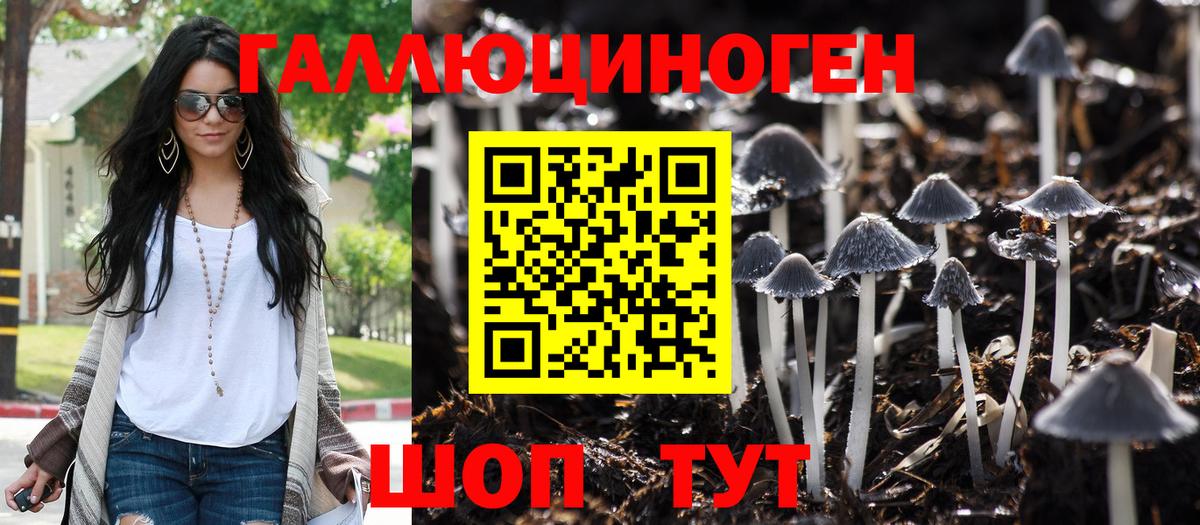 Псилоцибиновые грибы Psilocybe  Галлюциногенные грибы мицелий  Кузнецк 