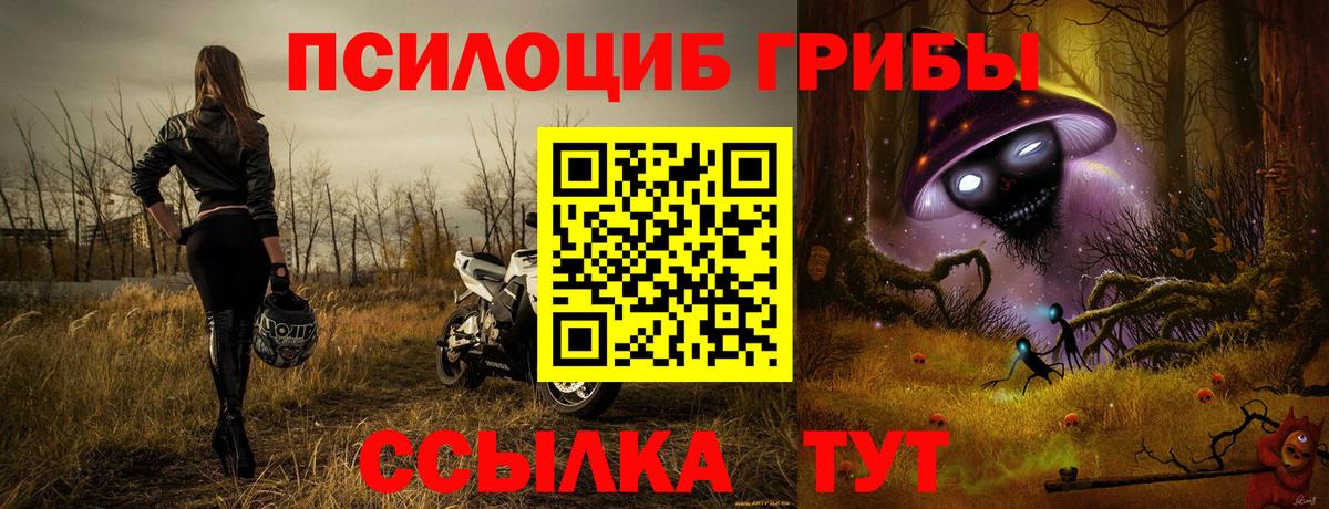 Псилоцибиновые грибы Magic Shrooms  Вход с VPN  Кузнецк 